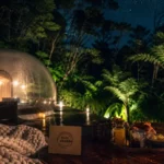 Logement insolite reunion : bulle transparente dans la forêt des hauts de La Réunion